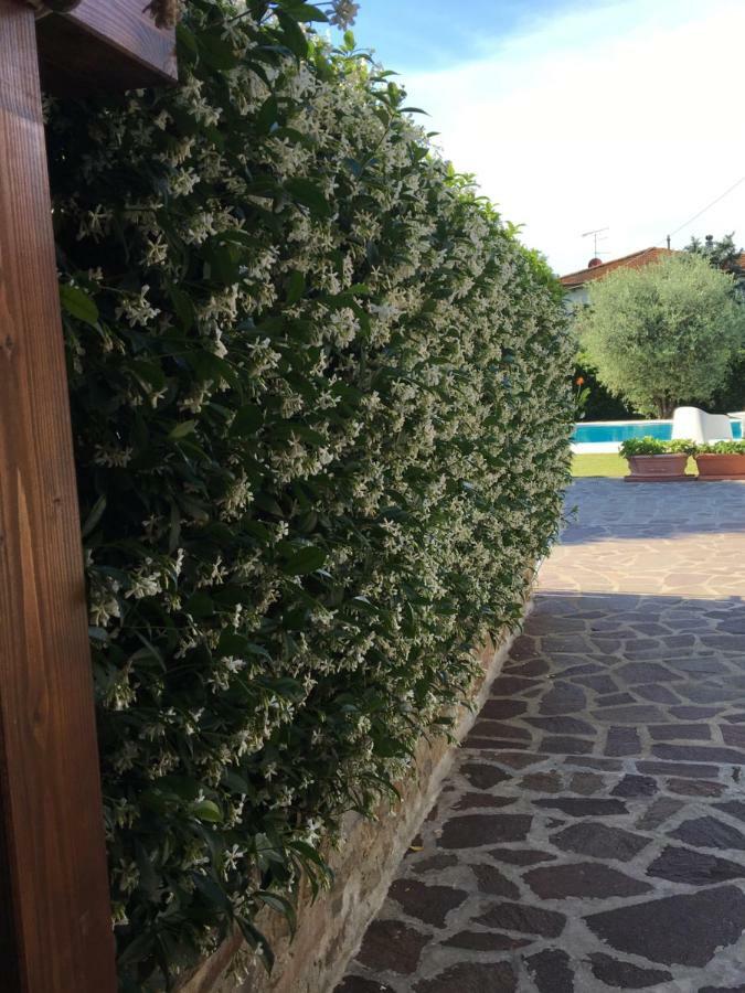 הוילה לוקה Casa Pietra Del Sole מראה חיצוני תמונה