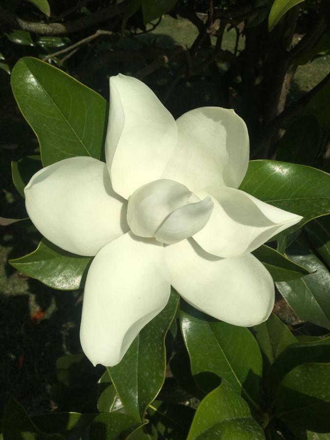 הוילה לוקה Casa Pietra Del Sole מראה חיצוני תמונה